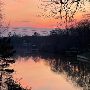 Meet your Posher, Lynne